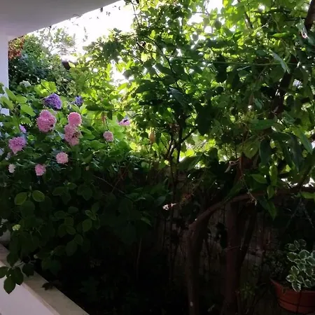 And With Parking Space - 11207 3* Dubrownik