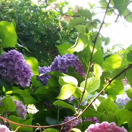 Pensjonat And With Parking Space - 11207