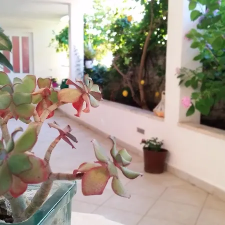 Pensjonat And With Parking Space - 11207 3*