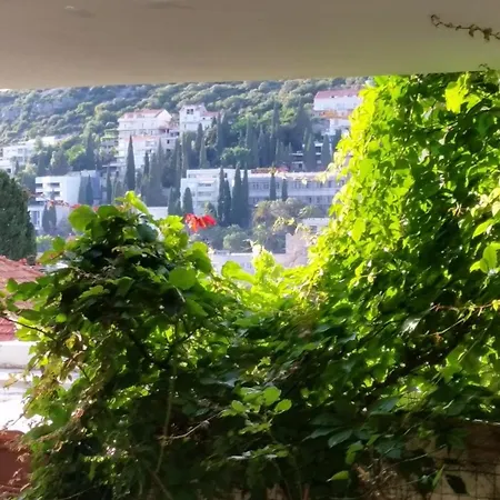 Guest house And With Parking Space - 11207 Dubrovnik